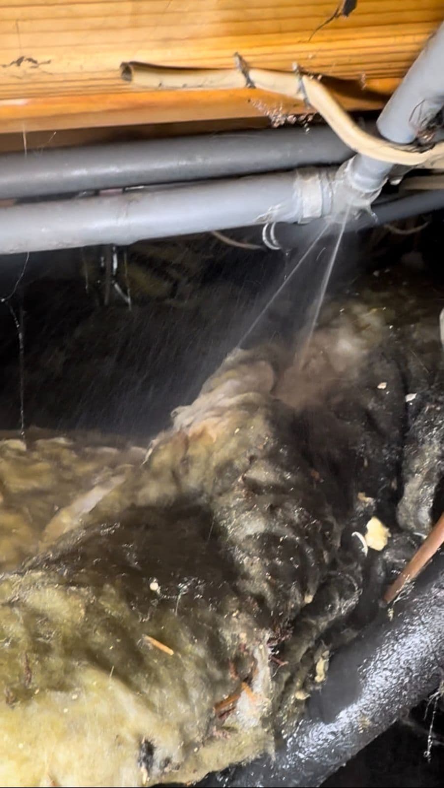 A hidden leak found spraying under a floor before any wall was opened