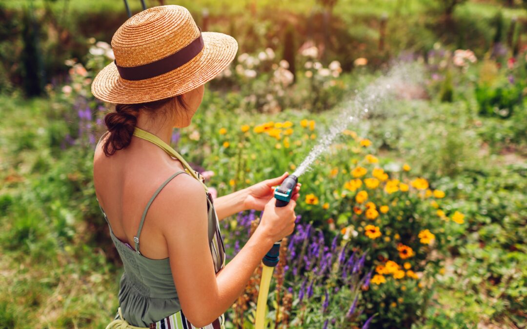 Spring Into Action: Spring Plumbing Tips to Prep Your Home This Season